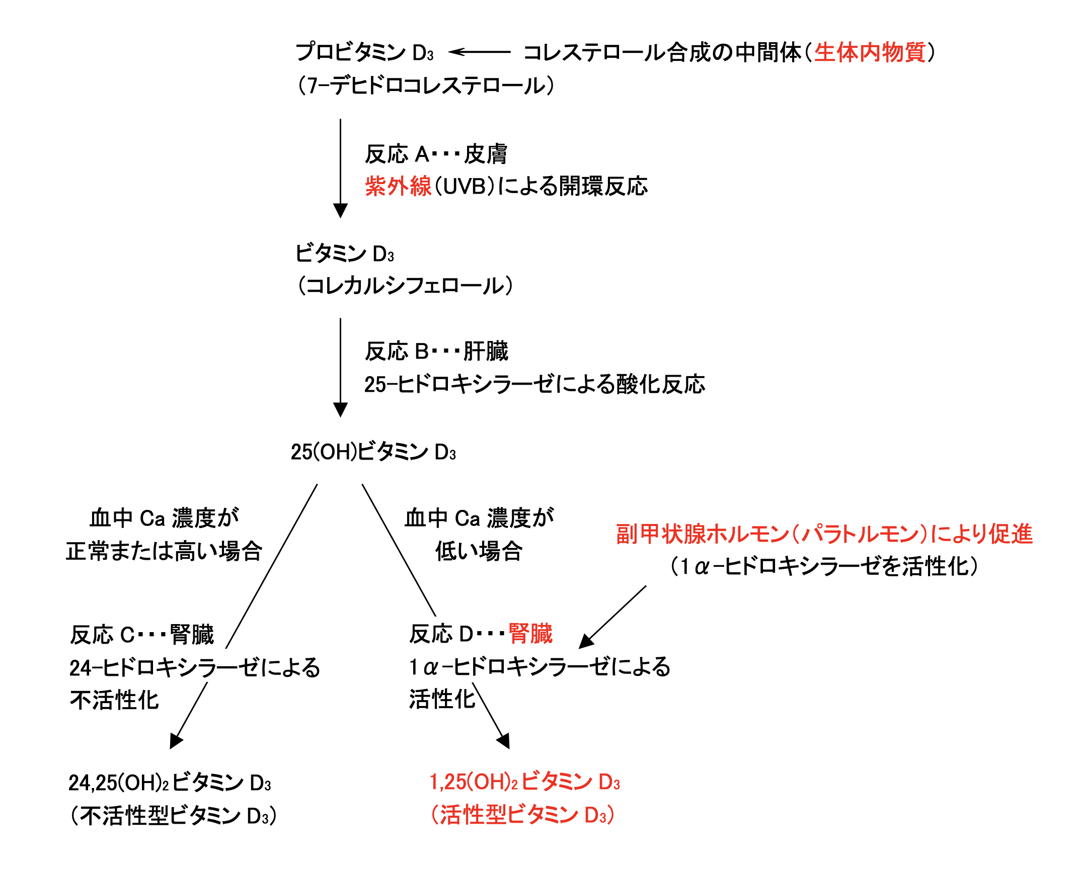 解説画像